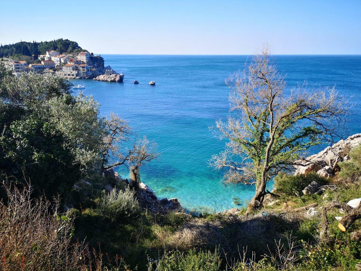 Langust - Free Parking Apartment Sveti Stefan Exterior foto